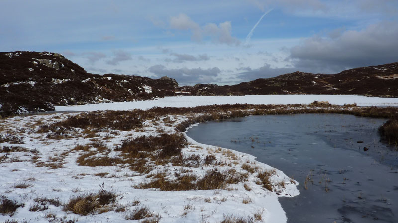 Dock Tarn